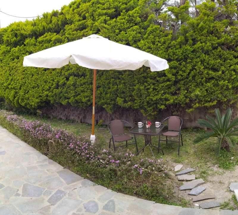 Villa Katerina Ialysos  Extérieur photo