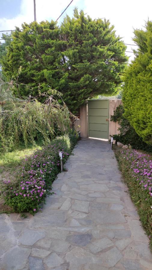 Villa Katerina Ialysos  Extérieur photo